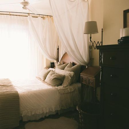 Bright Apartment In The City Center Αλικάντε Εξωτερικό φωτογραφία