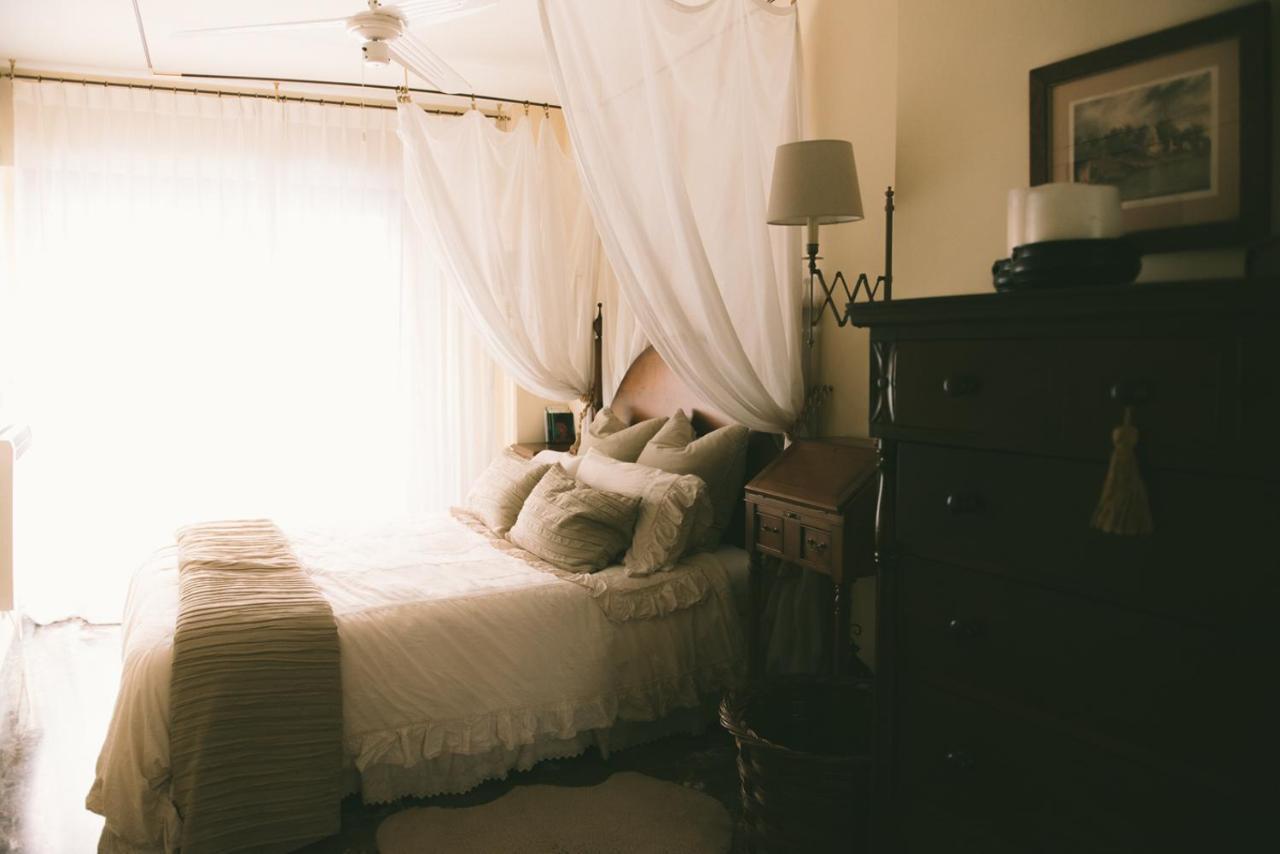 Bright Apartment In The City Center Αλικάντε Εξωτερικό φωτογραφία
